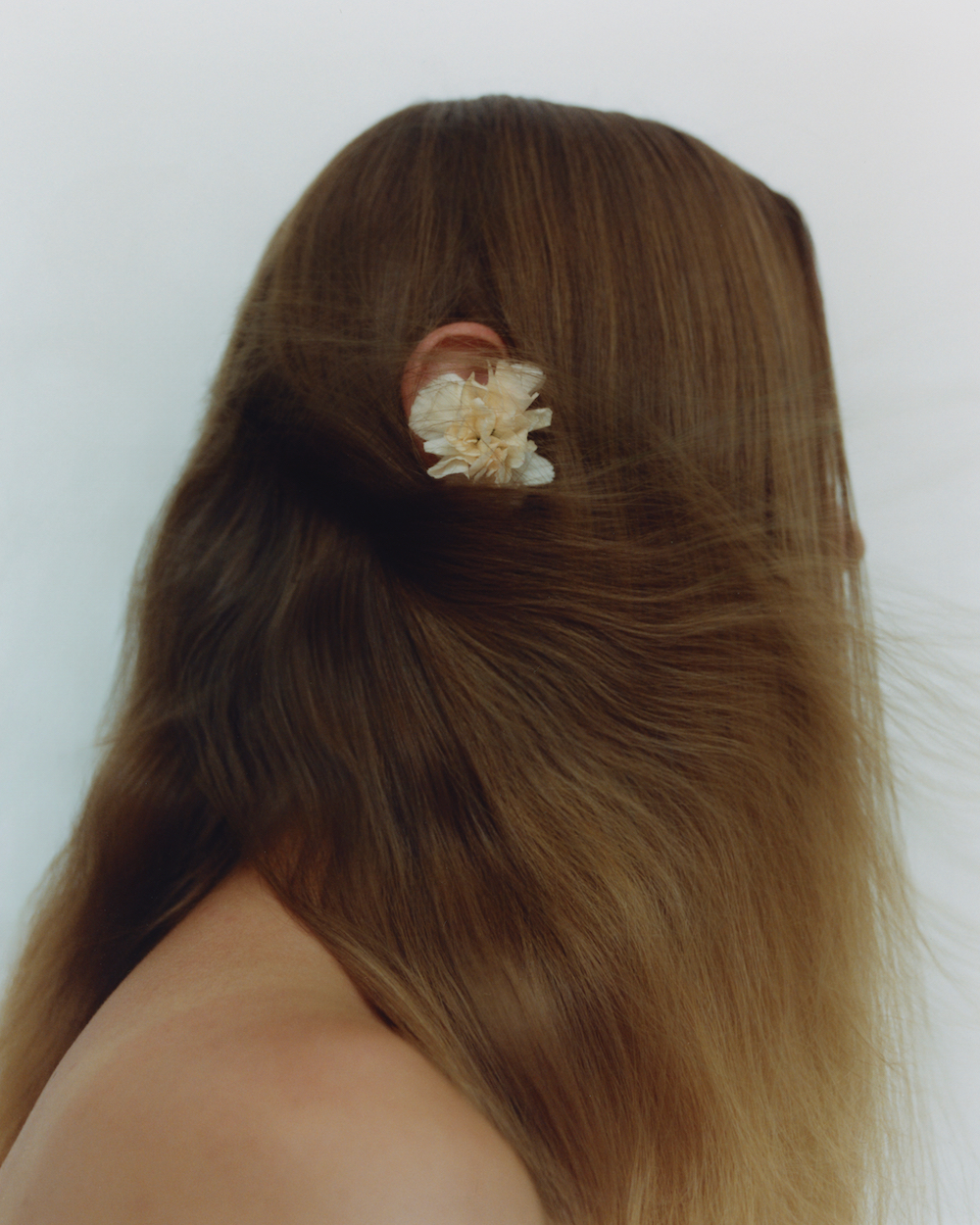 Flower Studies /w Maximilian Heimlich