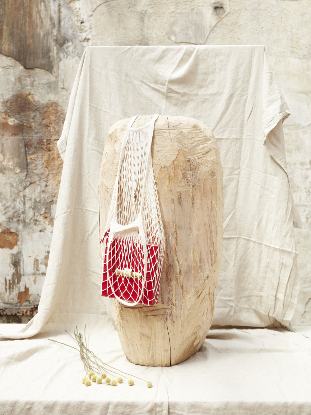 Nature stills /w Sarah Fürbringer